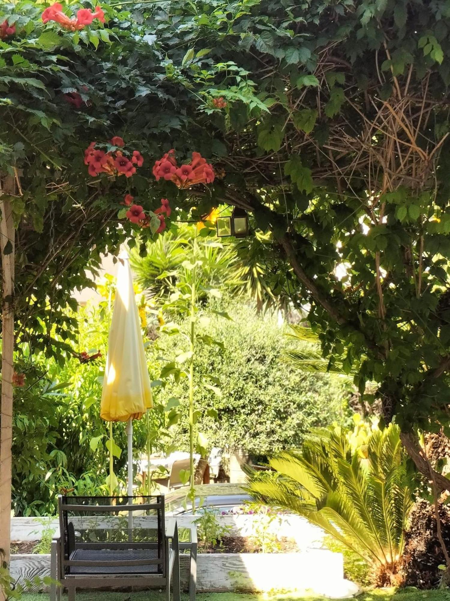 Villa Bellabé Nice Extérieur photo